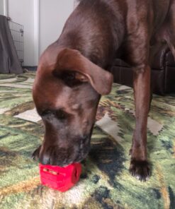 KONG Stuff-A-Ball Treats Dispense Dog Toy - Stuffable Dog Toy - Stuff Treats for Mental Enrichment - Dental Dog Toy for Healthy Teeth & Gums - Large Dogs Standard Packaging 31 81YSOXoZADL