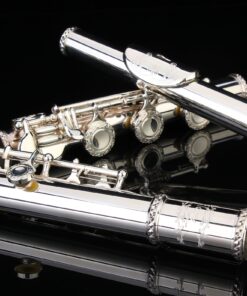 Glory HAND-ENGRAVED SILVER PLATED HIGH GRADE FLUTE 17 Hole OPEN/CLOSED C Flute With Case, Tuning Rod and Cloth and Gloves,HIGH GRADE HAND ENGRAVED 17 Open Hole Flower 24 81YSxglJXjL
