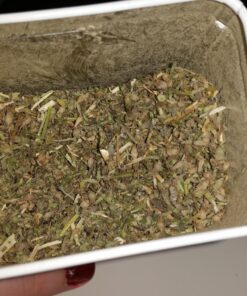 KONG - Naturals Premium Catnip - Premium North American Grown - 2 Ounce 54 81YUfJXggpL