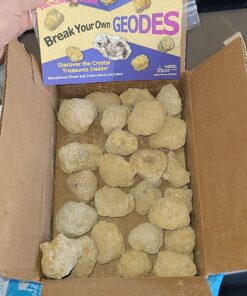 DANCING BEAR 25 Break Your Own Geodes, (Medium 1-1.5") 90% Hollow, Crack Open & Discover Amazing Surprise Crystals Inside! Educational Info and Instructions Included, Fun Party Favors & Prizes Medium (1-1.5") 44 81YUzS jzDL
