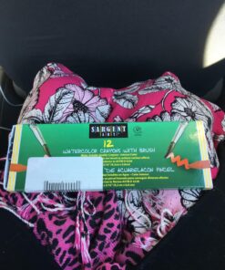 Sargent Art 22-1112 12-Count Water Color-Crayons with Brush,Assorted Colors 9 81YWK8ragYL