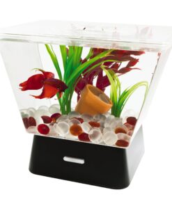 Tetra LED Betta Tank Kit 1 Gallon, Trapezoid aquarium With Base Lighting (24050) 22 81YWlfsdMOL