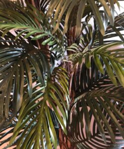 Nearly Natural 5284 Robellini Palm Silk Tree, 6-Feet, Green 72in. 14 81YamLboekL