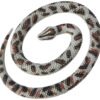 Wild Republic Rock Python, Rubber Snake Toy, Gifts for Kids, Educational Toys, 26", Multi 16 81YcykOwNlL