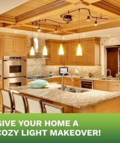 Bioluz LED 4W Filament Candelabra Bulb, E12 Base High Efficiency LED Candle Bulbs, UL Listed, Pack of 6 6 Count (Pack of 1) 31 81Yf8jE1r L