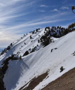 Nikon AF-S FX NIKKOR 20mm f/1.8G ED Fixed Lens with Auto Focus for Nikon DSLR Cameras Lens Only 81 81YgquQsNJL