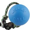 Jolly Pets Romp-n-Roll Rope and Ball Dog Toy, 4.5 Inches/Small, Blueberry for All Breed Sizes Small (4.5 in) 30 81YgwfsTGgL