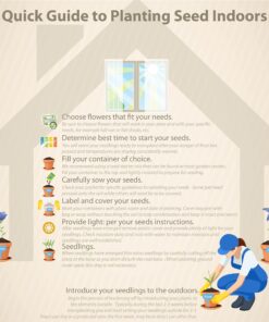 Outsidepride Perennial Verbena Stricta Hoary Vervain Garden Cut Flowers & Butterfly Attractant - 5000 Seeds 13 81Yi9LKSrFL 1