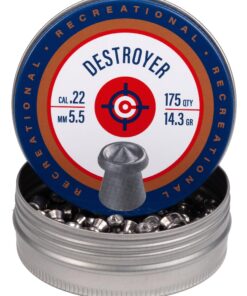 Crosman DES22 Destroyer .22-Caliber Pellets, SILVER (175-Count) 21 81YlDGFlYJL