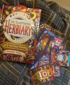 The Illustrated Herbiary: Guidance and Rituals from 36 Bewitching Botanicals (Wild Wisdom) 38 81YmOssE7pL