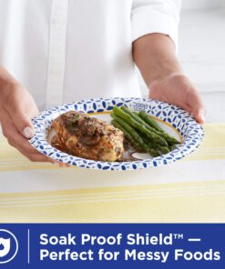 Dixie Ultra Disposable Paper Plates, 10-1/16 in. Dinner Size, Printed, 176 Count Multicolor 14 81Ymo5aM2uL