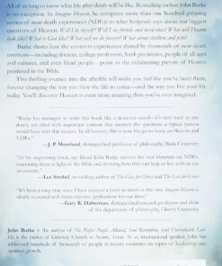 Alternative view of Imagine Heaven: Near-Death Experiences, God's Promises, and the Exhilarating Future That Awaits You