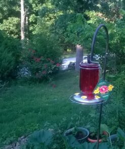 Perky-Pet 786-1SR Mason Jar Vintage Glass Hummingbird Feeder - Outdoor Garden Décor - 32-oz Red Mason Jar 35 81YnyeSxWL