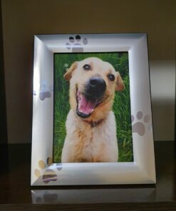 Skyway Puppy Dog Paw Print Pet Photo Picture Frame Silver - 5 x 7 25 81YtJUHCOML
