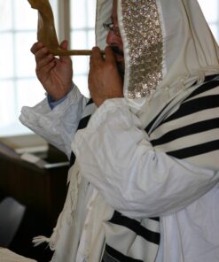 Judaica Mega Mall Kosher ODORLESS Polished Natural Rams Horn | Smooth Mouthpiece for Easy Includes Carrying Bag and Shofar Blowing Guide | Medium Size (12”-14”) (Jud-0651) 12"-14" 14 81YuJchj7IL