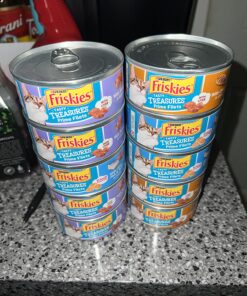 Purina Friskies Gravy Wet Cat Food Variety Pack, Tasty Treasures Prime Filets - 5.5 Ounce (Pack of 12) 5.5 Ounce (Pack of 12) 27 81YuYvF2JHL 1