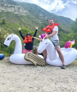 Jasonwell Giant Inflatable Pool Float - Golden Swan Pegasus Pool Floatie Summer Beach Swimming Outdoor Pool Party Lounge Raft Decorations Toys for Adults & Kids 31 81YvQaykRFL 1