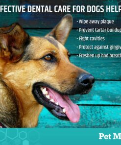 Pet MD Dog Breath Freshener Dental Wipes for Dogs - Tartar and Plaque Remover for Teeth Cleaning - Fresh Apple & Mint Scent Bad Breath Treatment for Dogs - 100 Count 22 81Z2RdpDcL