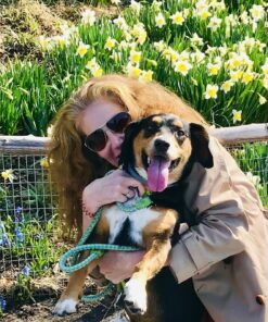 Miracle-Gro Moisture Control Potting Mix - Soil for Indoor & Outdoor Containers, Added Fertilizer Feeds Up to 6 Months, 8 qt. 8 qt. 46 81Z2VHJONL