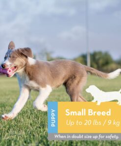 Alternative view of KONG - Puppy Teething Stick - Teeth Cleaning Dog Chew Toy (Assorted Colors) - for Small Puppies Standard Packaging