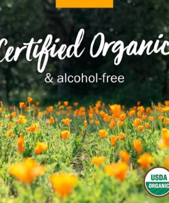 Herb Pharm Certified Organic Licorice Liquid Extract for Endocrine System Support - 1 Ounce (DLIC01) 12 81Z6lllSL0S 1