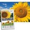 Mammoth Grey Stripe Sunflower Flower Seeds, 50+ Heirloom Seeds Per Packet, (Isla's Garden Seeds), Non GMO Seeds, Botanical Name: Helianthus annuus 8 81Z8IhDoo7L
