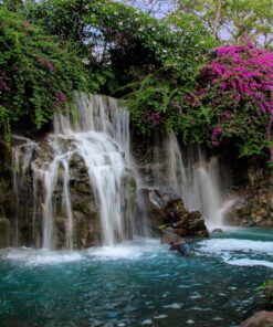 Nikon D500 DX-Format Digital SLR (Body Only), Base 103 81Z9 zbxiL