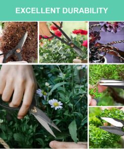 Voilamart 14 Piece Bonsai Tools Kit with Case, Carbon Steel Scissor Cutter Shear Set Garden Plant Tools 14PCS Kit 13 81ZLBWNHbpL