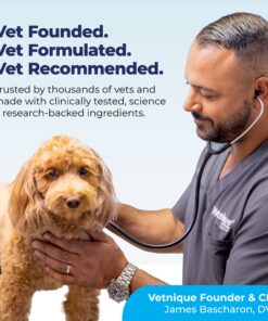 Glandex Anal Gland Soft Chew Treats with Pumpkin for Dogs Digestive Enzymes, Probiotics Fiber Supplement for Dogs Boot The Scoot (Peanut Butter Chews, 30ct) Peanut Butter Chews 27 81ZQ4EstfoL