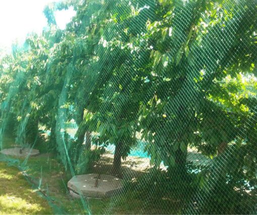 CandyHome 13Ft x 33Ft Anti Bird Protection Mesh Garden Netting Seedlings Plants Flowers Fruit Trees Vegetables from Rodents Deer Reusable Fencing, 13Ft x 33Ft, Green