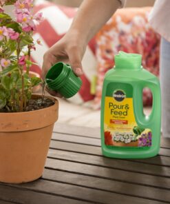 Miracle-Gro Pour & Feed Plant Food, Fertilizer Instantly Feeds Live Plants, For Outdoor & Indoor Plants in Containers, 32 oz. 15 81ZUlKHd05L