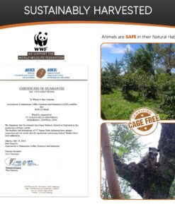 Granell Kopi Luwak Coffee Beans – Ethically Sourced Wild Civet Coffee, Gourmet Coffee Beans, Indonesian Luwak Arabica Whole Bean Coffee, Popular Coffee Gifts for Coffee Lovers, Men & Women 100g/3.5oz 3.52 Ounce (Pack of 1) 11 81ZWyHn27QL