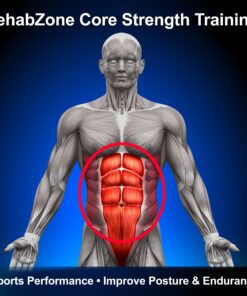 RehabZone Core Strength Training Program: Home Exercise Program Designed to Build a Stronger Core for Sports Performance and a Better Life 8 81ZaZJu ktL
