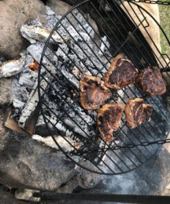 Sunnydaze Outdoor Fire Pit Tripod Cooking Grill System - Black Steel Grate and Legs - 22-Inch 22 81Zb 7fPVL