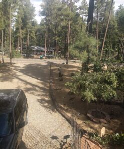 Morvat LED Auto Solar Powered Outdoor Path Lights with Stainless Steel & Glass Lens for Garden Yard & Pathway, Bright Waterproof Landscape & Patio Lighting, Dusk to Dawn, White Light, 8 Pack 23 81Zb3IwXHL