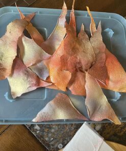 Oasis Supply 100 Piece Edible Rectangle Wafer Paper Pack, 8" by 11", White O-Grade Letter 8"x11" 32 81ZdHGW53LL