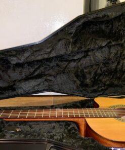 Gator Cases Molded Flight Case For Acoustic Dreadnought Guitars With TSA Approved Locking Latch (GTSA-GTRDREAD) 29 81ZfpZ0CUmL