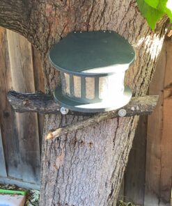 Woodlink Squirrel Diner Feeder Model 75590 beige 33 81ZgHnblQUL