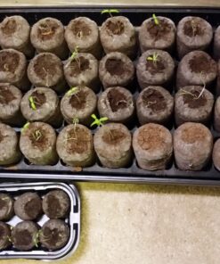 Heirloom Seeds for Planting Vegetables and Fruits - Survival Essentials 135 Variety Seed Vault - Medicinal Herb Seeds - Grow Healthy Non-GMO Food 76 81ZgJSGMfXL