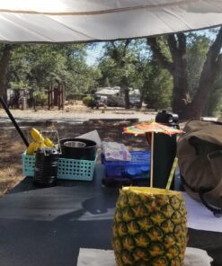 Wenzel Klondike 8 Person Water Resistant Tent with Convertible Screen Room for Family Camping Grey/Taupe 72 81ZgLWvZNuL