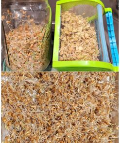 Hard Red Winter Wheat Berries | 5 LBS | Family Farmed in Washington State | Non-GMO Project Verified | 100% Non-Irradiated | Certified Kosher Parve | Field Traced | Burlap Bag 5 Pound (Pack of 1) 37 81ZjQBRbQuL