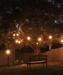 Feit Electric 72041 30 Foot Heavy-Duty Weather Resistant Decorative Indoor and Outdoor 10 Sockets Incandescent String Lights, 30', 11W, Dimmable,Black 30 ft (Pack of 1) 34 81ZmTkAaScL 1