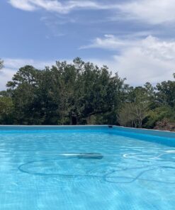 Intex Recreation Corp 28001E Intex Auto Pool Cleaner, 1 Pack, Grey Above Ground 38 81Zpoo1cDOL