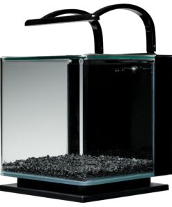 MarineLand Contour Glass Aquarium Kit with Rail Light 3-gallon 31 81ZqVInh0TL