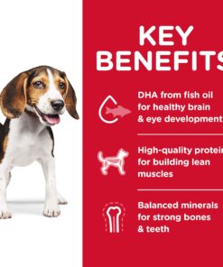 Hill's Science Diet Dry Dog Food, Puppy, Chicken Meal & Barley Recipe, 30 lb. Bag Puppy Dry 30 Pound (Pack of 1) 29 81ZtkhGTnmL