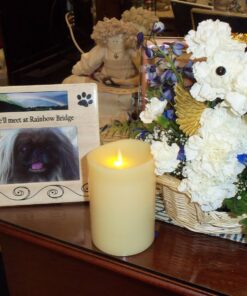 BANBERRY DESIGNS Pet Bereavement Photo Frame for Dog or Cat - We'll meet at Rainbow Bridge - for 4x6 Photo 7 81ZvQ4mBpL