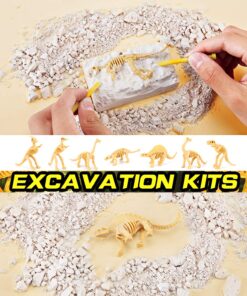 12 Pack: Dinosaur Excavation Kits for Kids, Dino Dig Kits, 3D Dig a Dinosaur Fossil and Figure Sets, Bulk Science Education Toys for Paleontology Archaeology STEM Learning Kids Activity Party Favors 30 81ZvsirRuhL