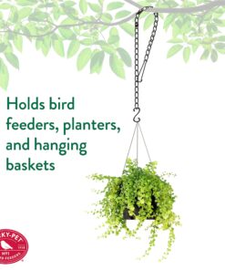 Perky-Pet 65 Hanging Chain for Bird Feeder, 33-Inch 13 81Zx7wimo6S