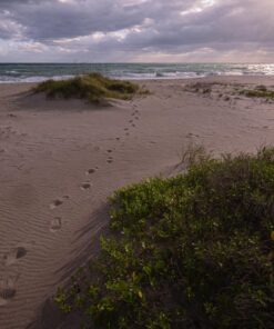 Nikon Z7 Full-Frame Mirrorless Interchangeable Lens Camera with 45.7MP Resolution, Body, Black, 1591 Body Only Base 41 81Zz24nopkL