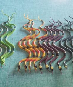 Rhode Island Novelty 14 Inch Rain Forest Snakes, Two Dozen Assorted 15 81a 4AD5ZML